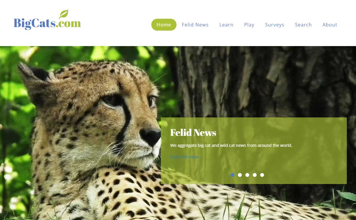 BigCats.com, where ALL wild cats are Big Cats!