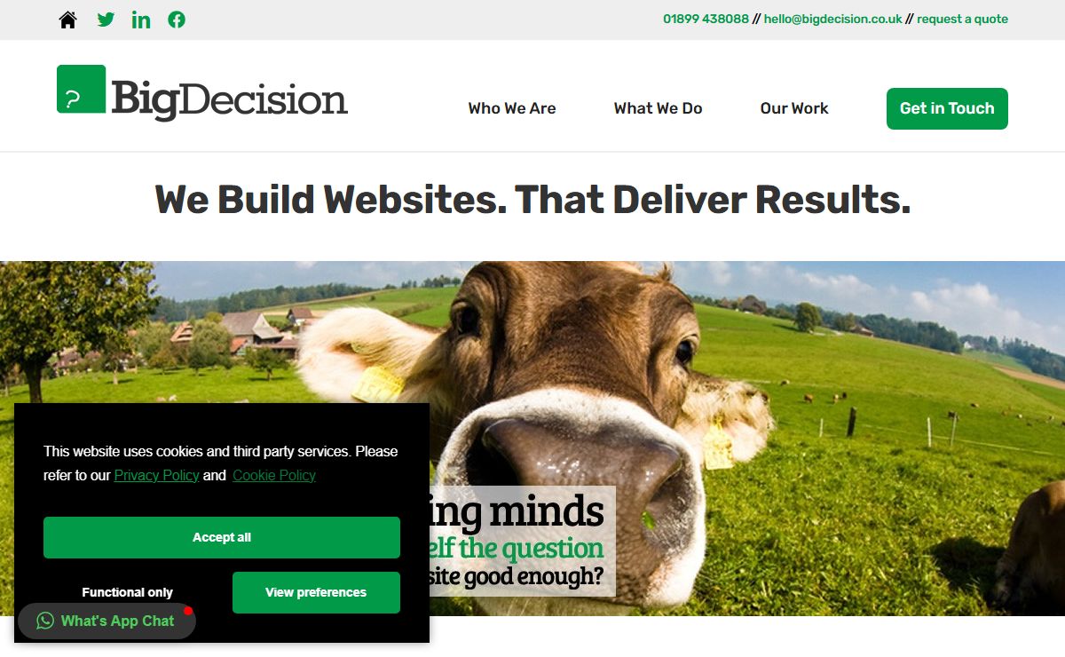 Big Decision // Website Design, Ecommerce & Digital Marketing