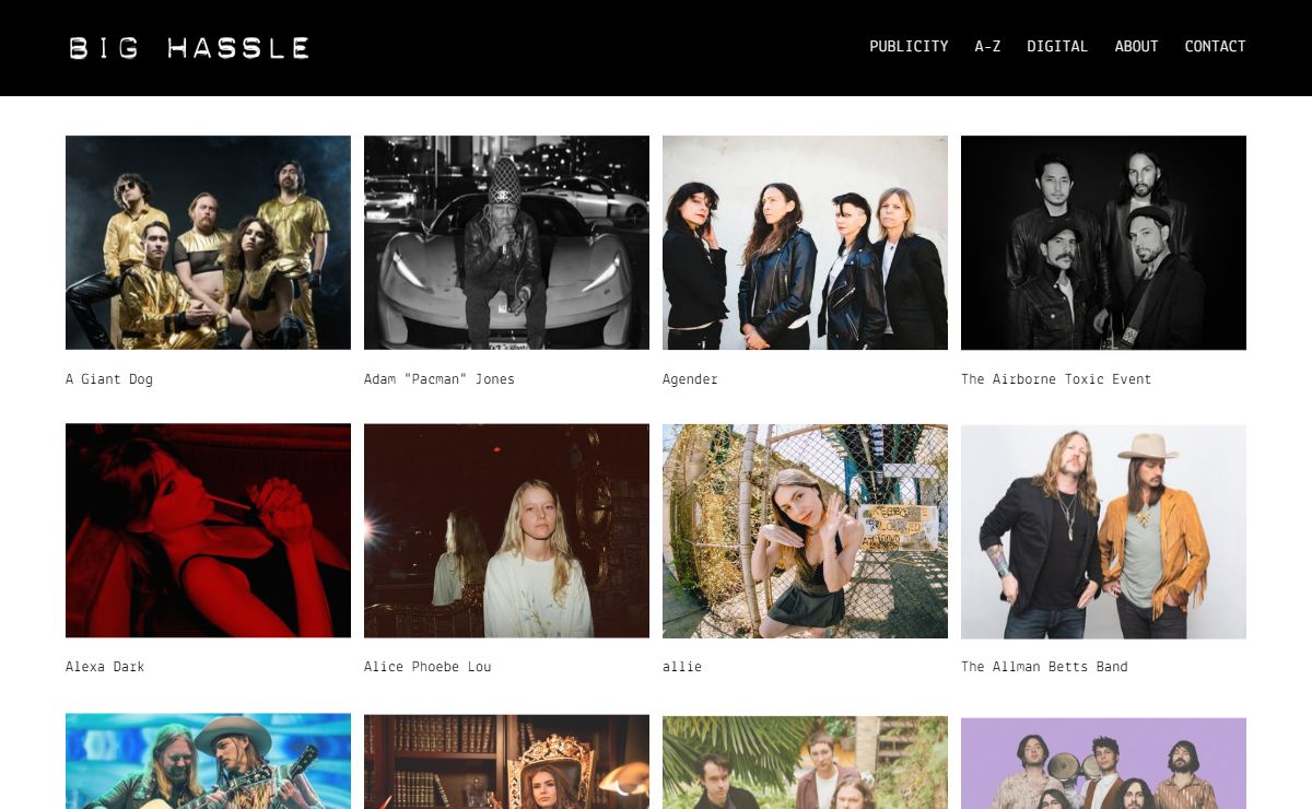 bighassle.com