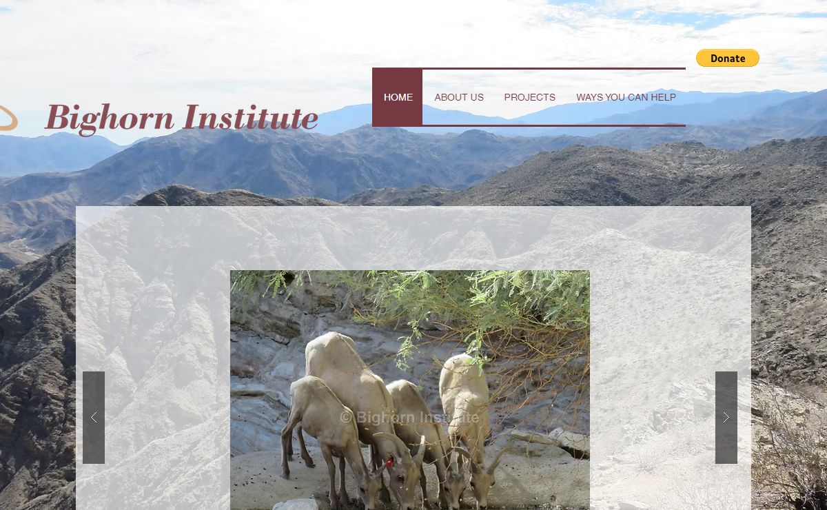 HOME | bighorninstitute