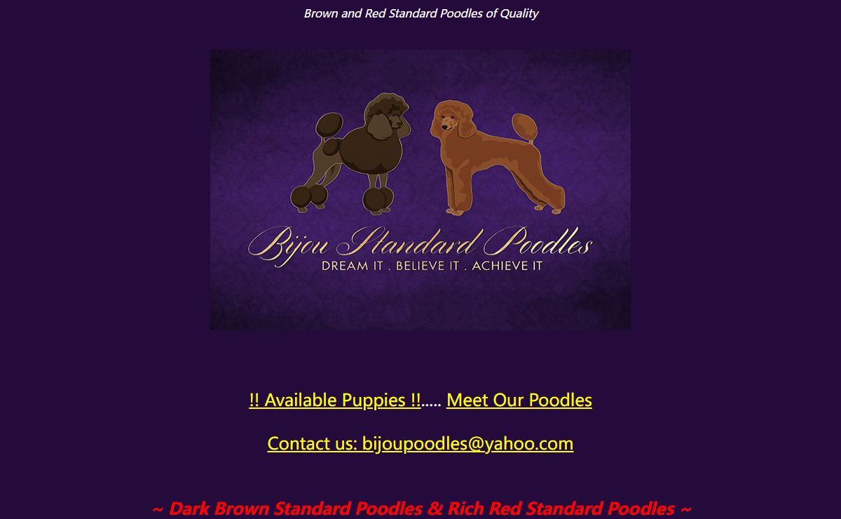 Standard poodle puppies, Standard poodles,Red standard poodles, Dark red standard poodles,Standard poodle puppies for sale, AKC Red standard poodle, doodles, labradoodle, Goldendoodle, bernadoodle, Australian Cobberdog