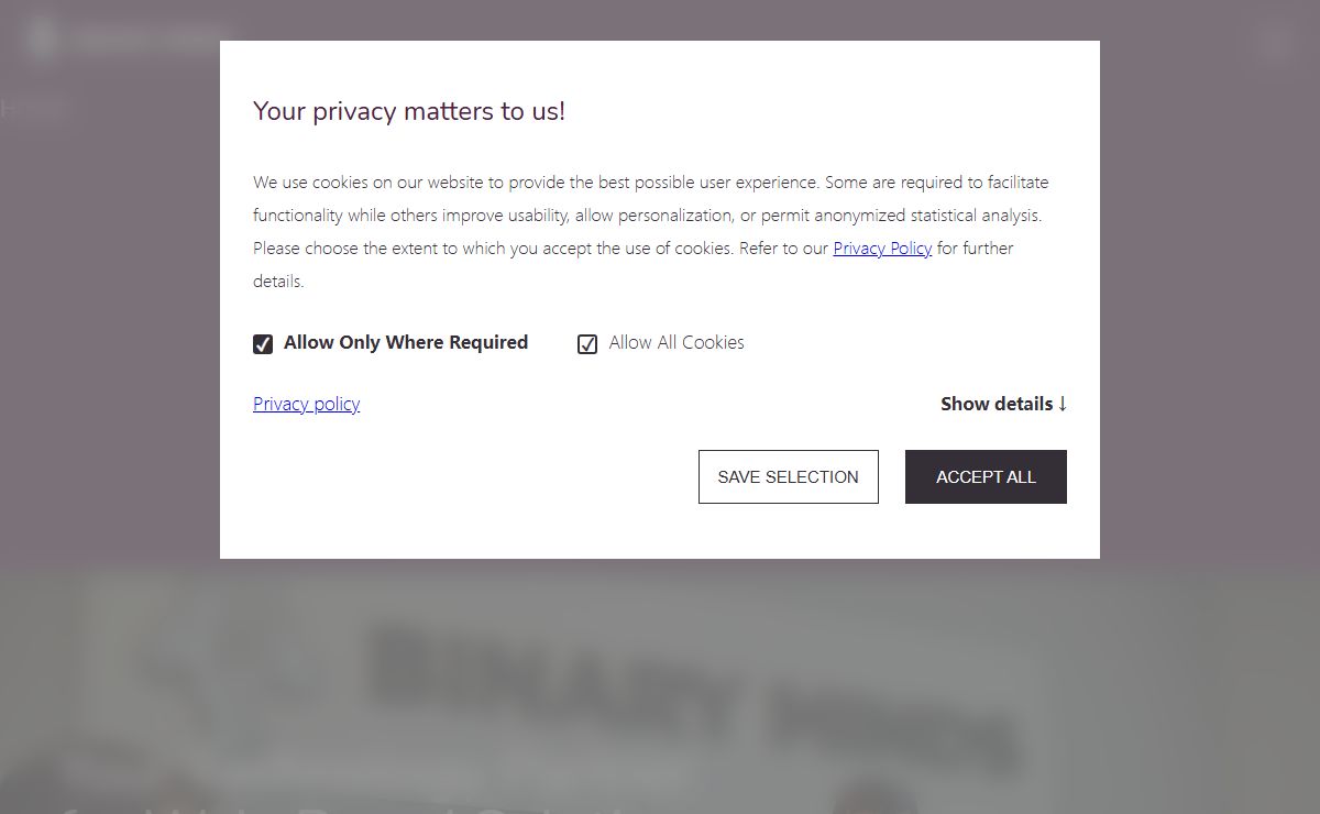 Binary Minds Web Development