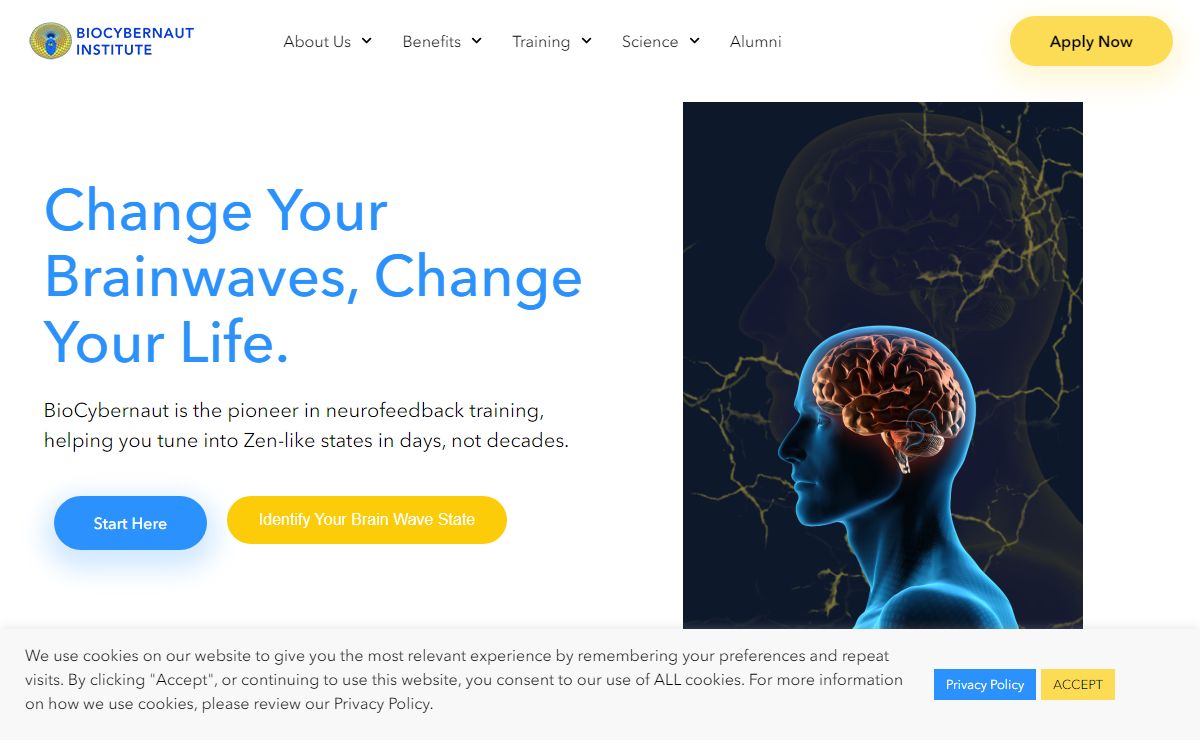 Neurofeedback Training and Treatment | The Biocybernaut Institute