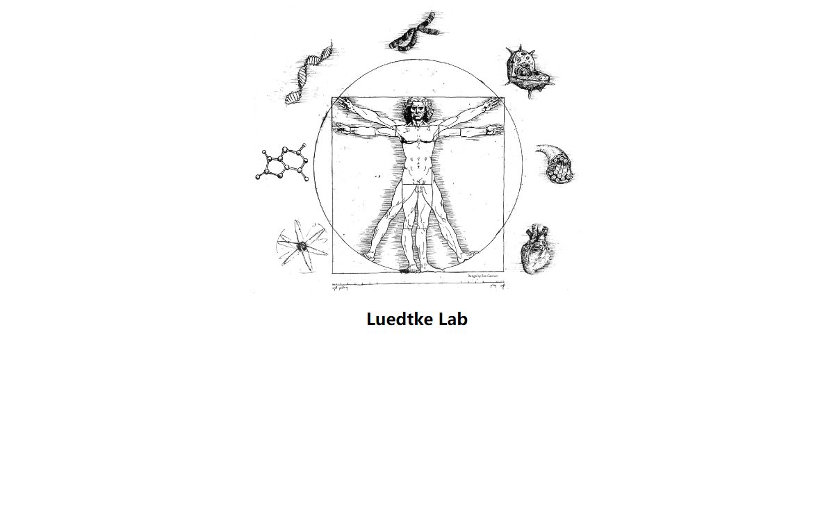 Nathan Luedtke Laboratory