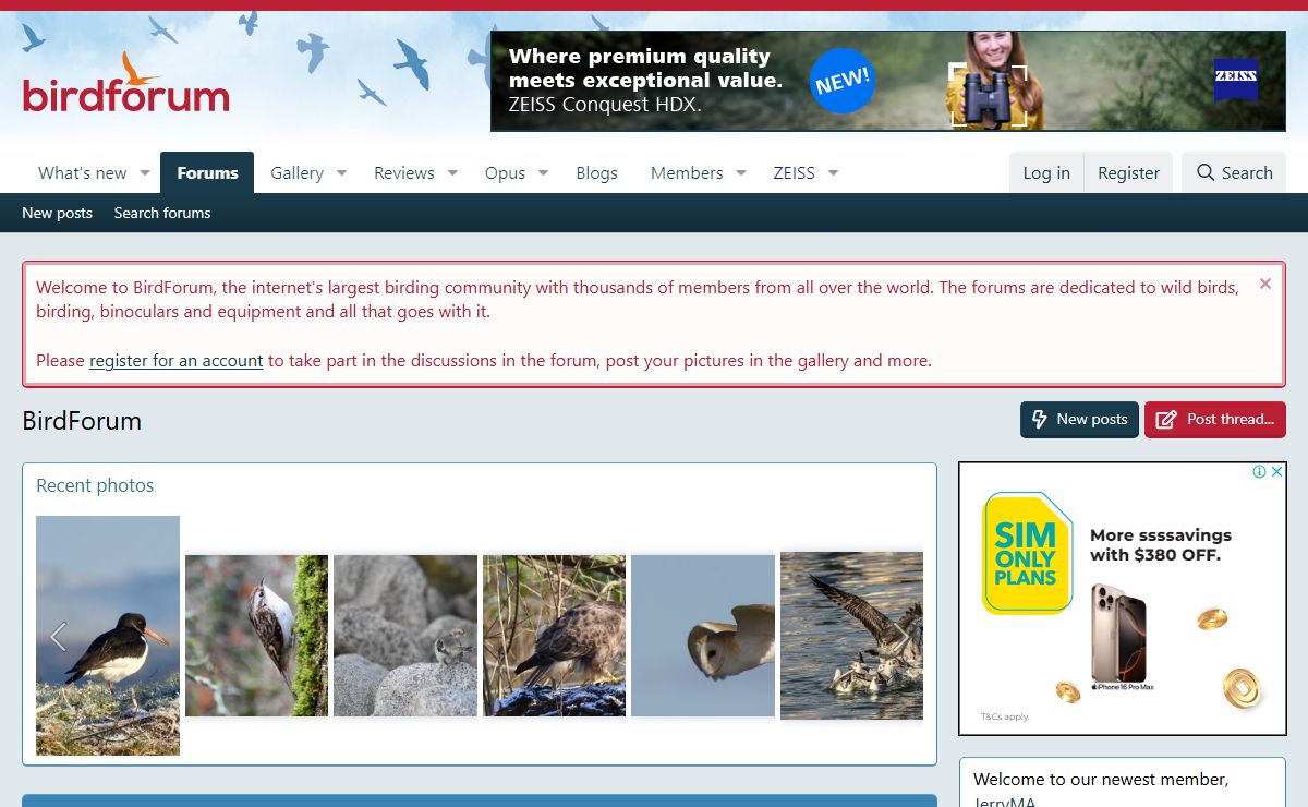 BirdForum