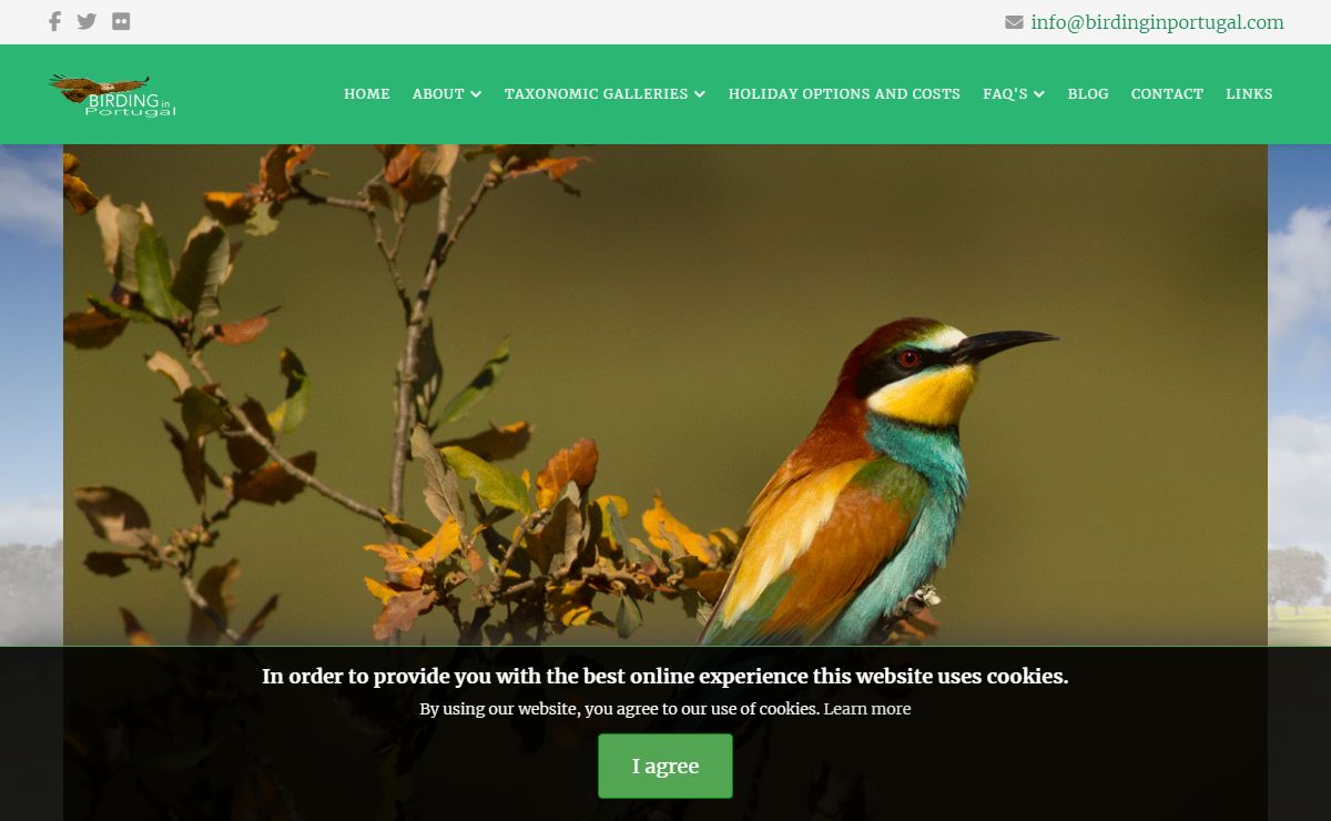 Birding in Portugal Official Website