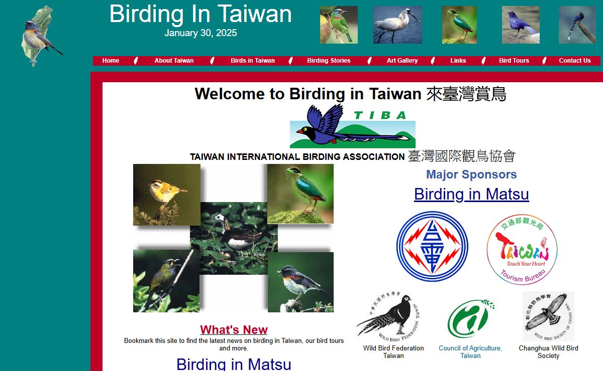 Birding In Taiwan