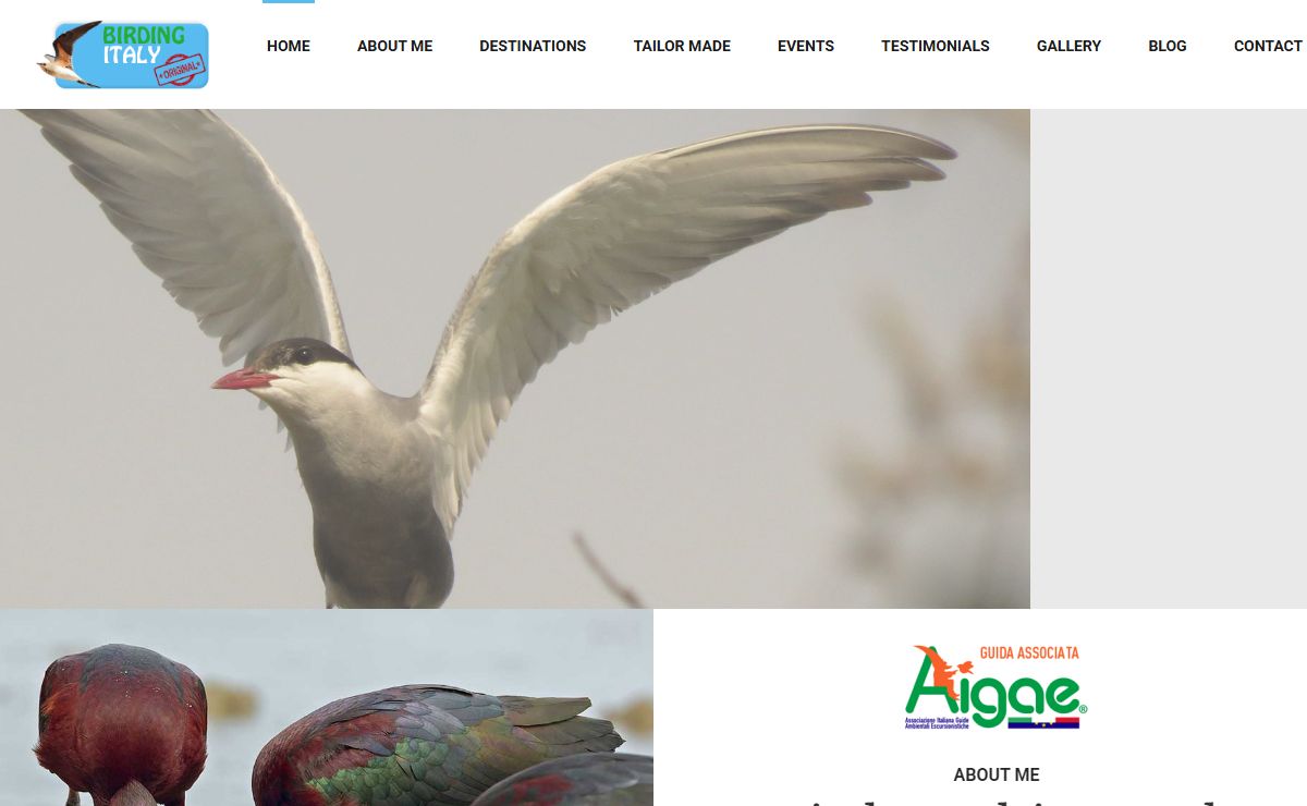 Birding in Italy and Birding Tours with Menotti Passarella | Birding Italy