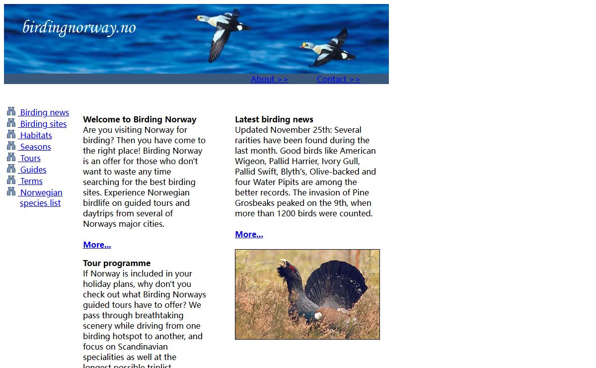 Birding Norway