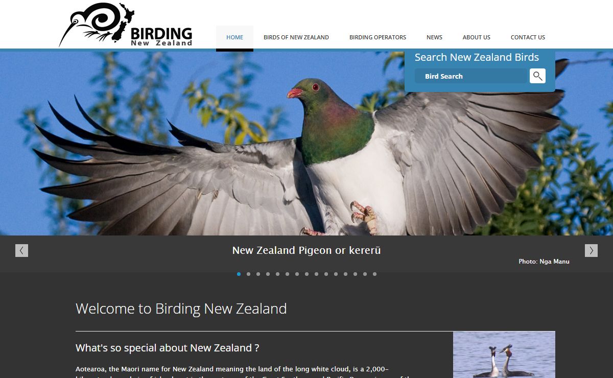 Welcome to Birding New Zealand : Birding NZ