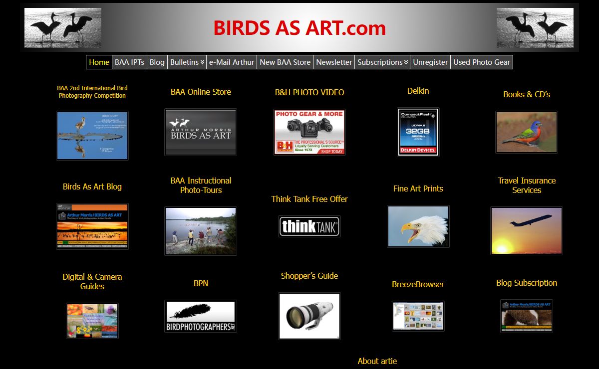 BIRDS AS ART.com