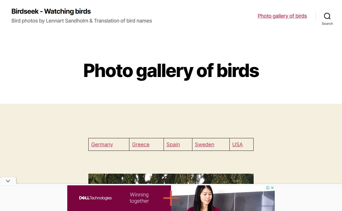 Birdseek – Watching birds – Bird photos by Lennart Sandholm & Translation of bird names