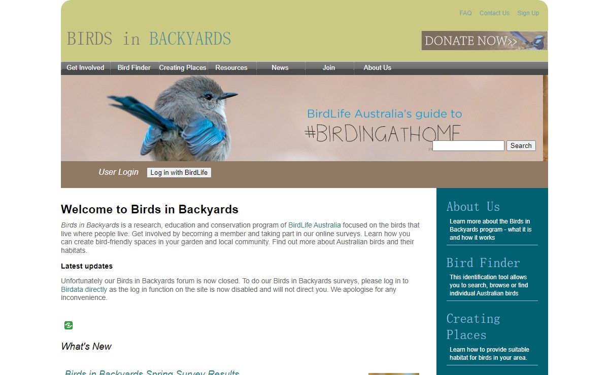 Welcome to Birds in Backyards | BIRDS in BACKYARDS