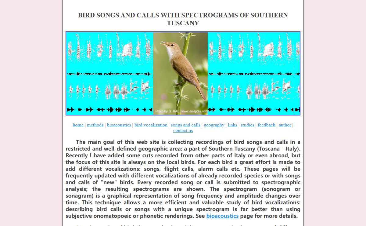 BIRD SONGS AND CALLS WITH SPECTROGRAMS ( SONOGRAMS ) OF SOUTHERN TUSCANY ( Toscana - Italy )