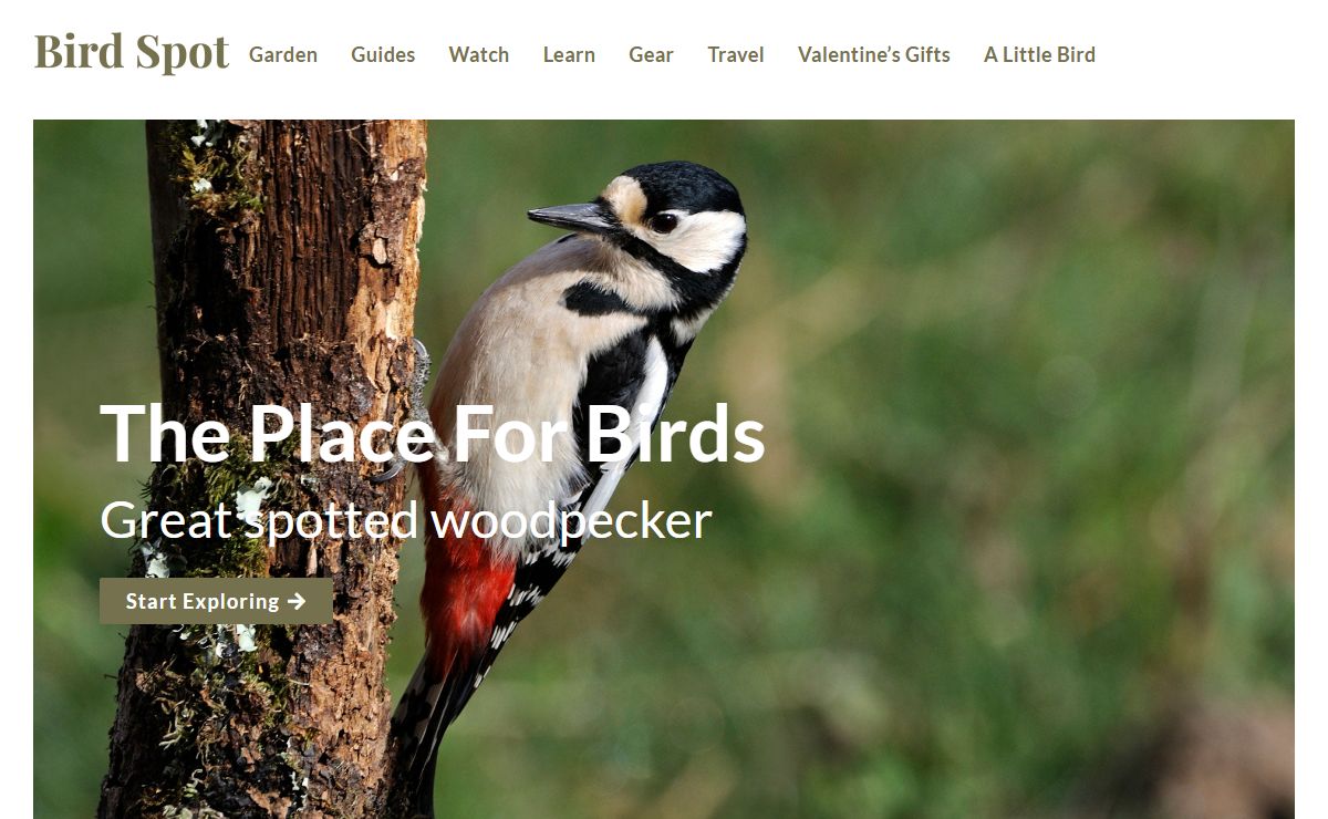 British Birds | Bird Watching | Garden Birds | Bird Spot