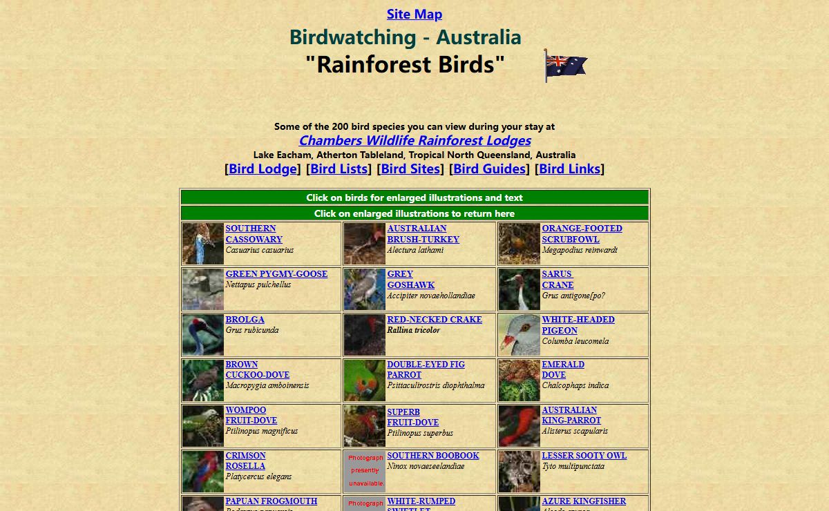 ! Birdwatching Australia ! Birdwatching, bird watching, bird-watching, birding North Queensland