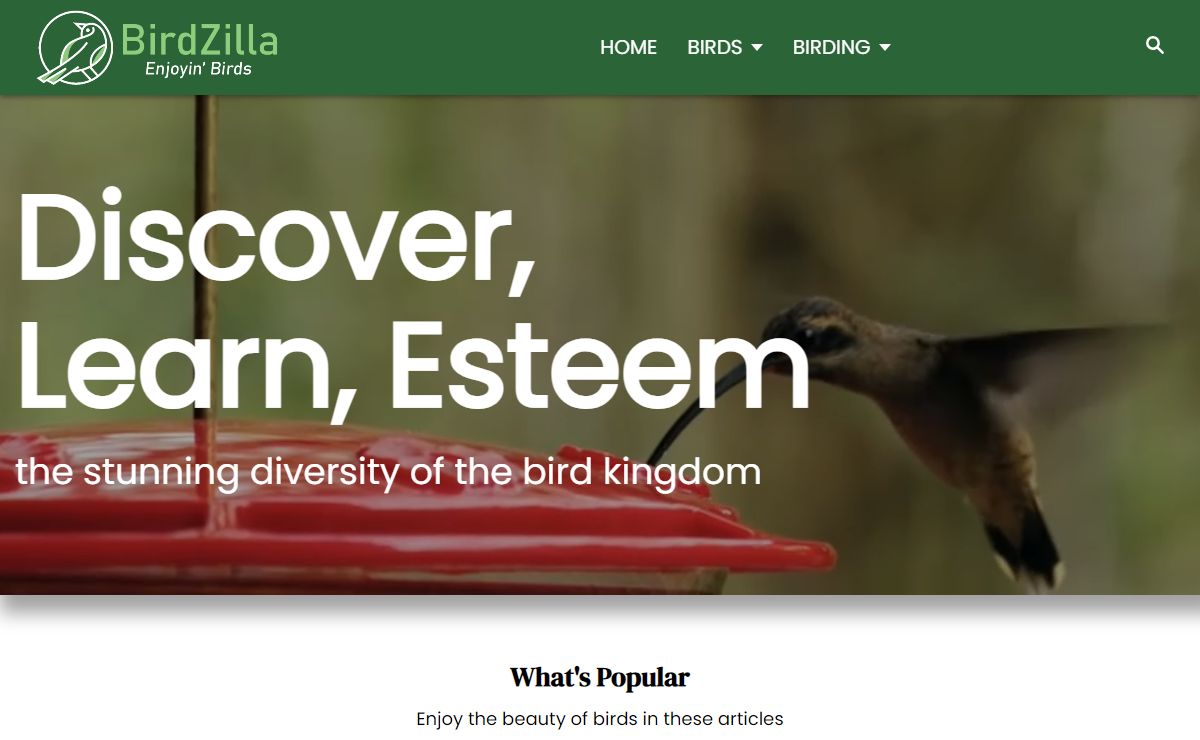 Birdzilla - Wild About Wild Birds | Birdzilla - Enjoyin' Birds