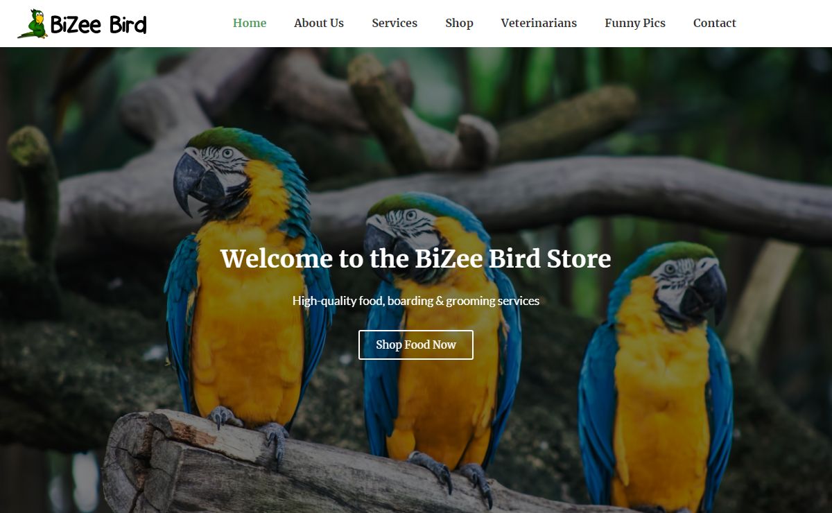 BiZee Bird Store -