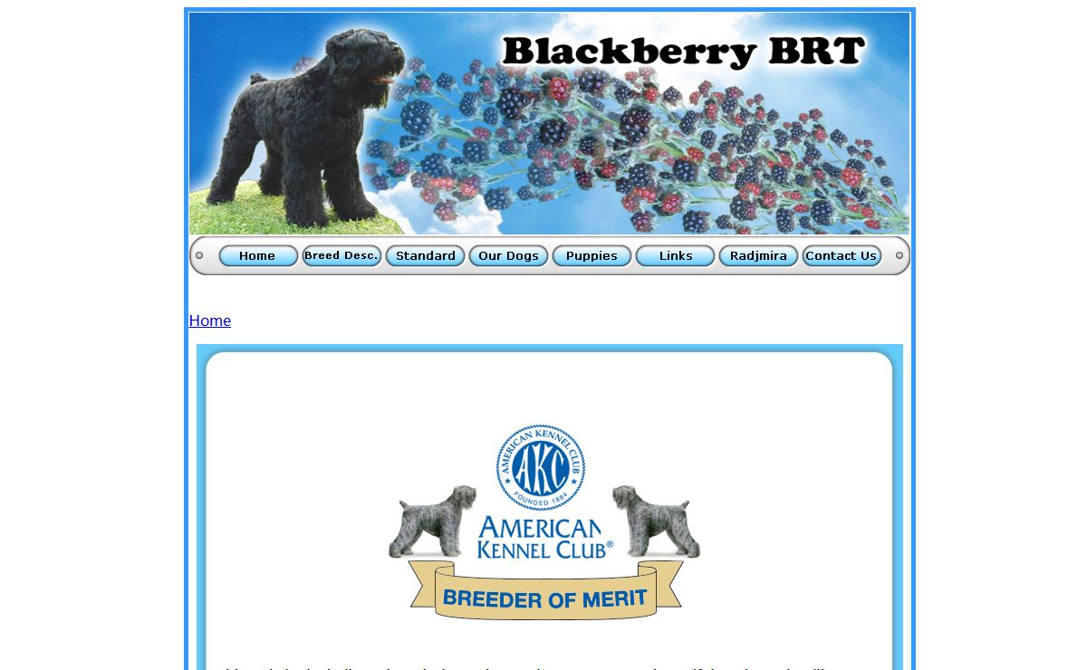 Blackberry BRT - Beautiful Black Russian Terrier Puppies For Sale