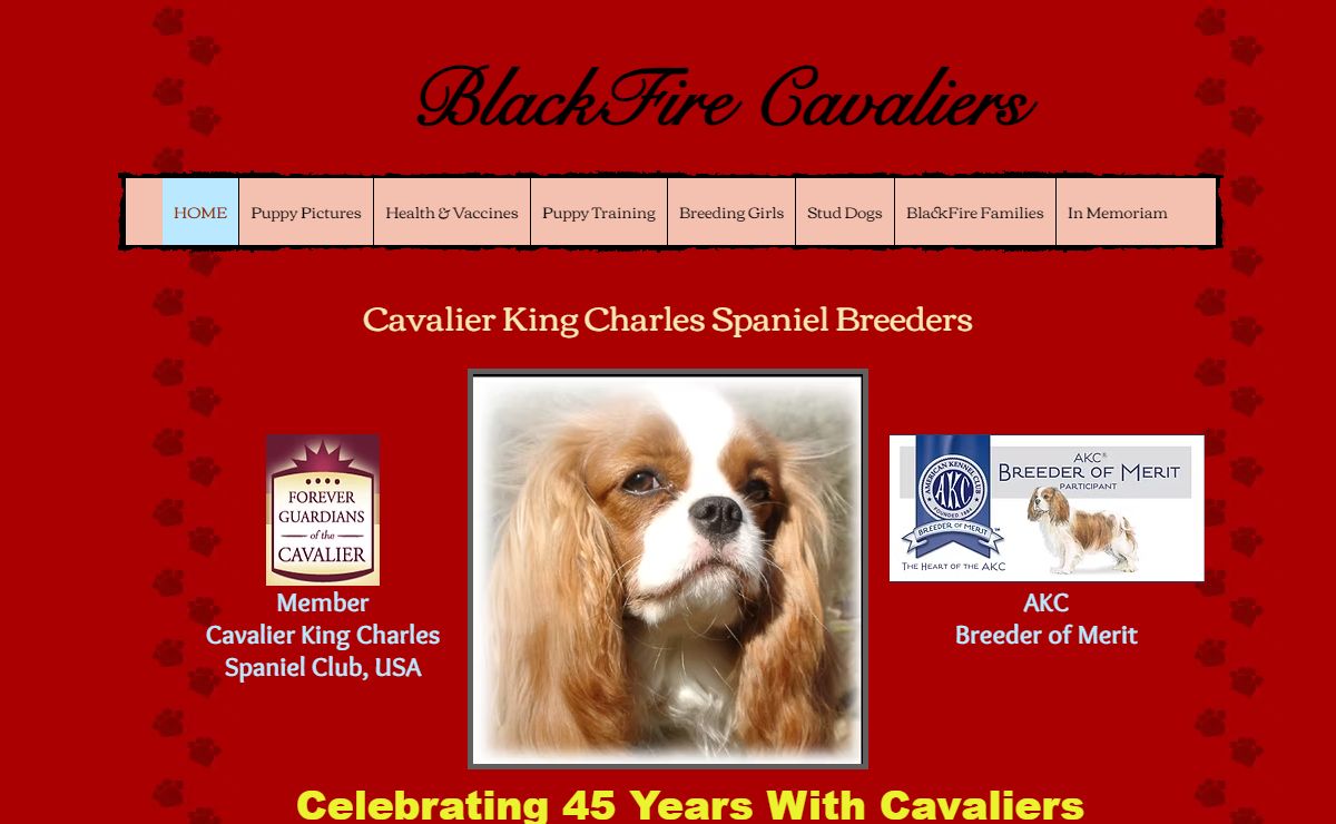 BlackFire Cavaliers