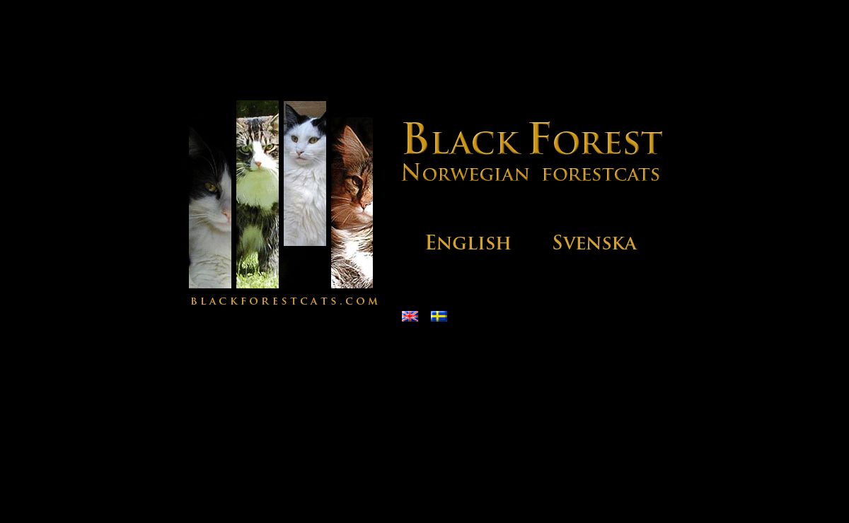 Black Forest - NFO