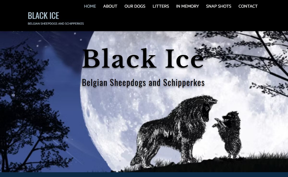 Black Ice Belgians and Schipperkes | Belgian Sheepdog