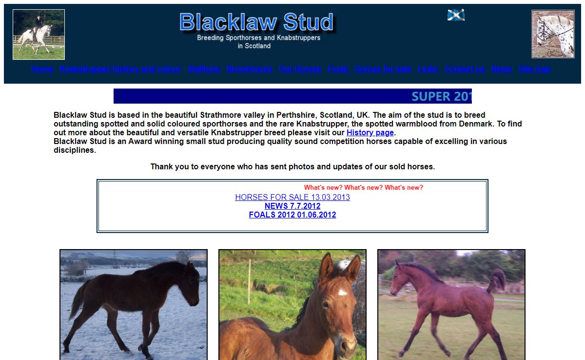 Blacklaw Stud breeding Knabstruppers. Horses for sale Scotland UK. Spotted Sporthorses