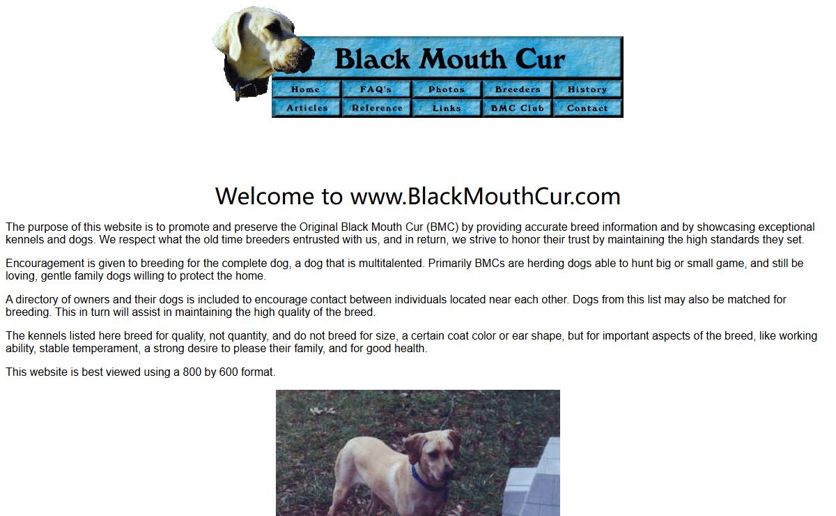 Home Page