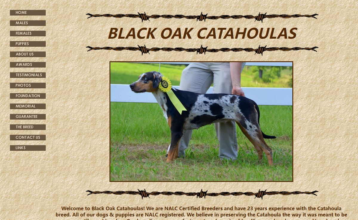 Black Oak Catahoulas - NALC Catahoulas, UKC Catahoulas, Champion Bloodlines, Working & Show