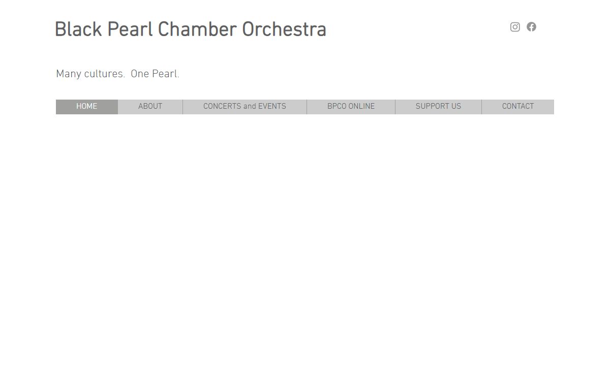 professional chamber orchestra led by Black female conductor