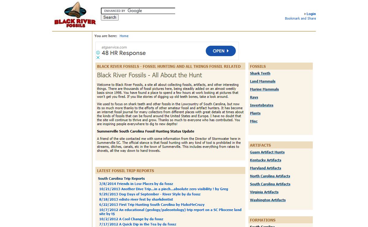 Black River Fossils Shark Teeth and other Prehistoric Treasures
