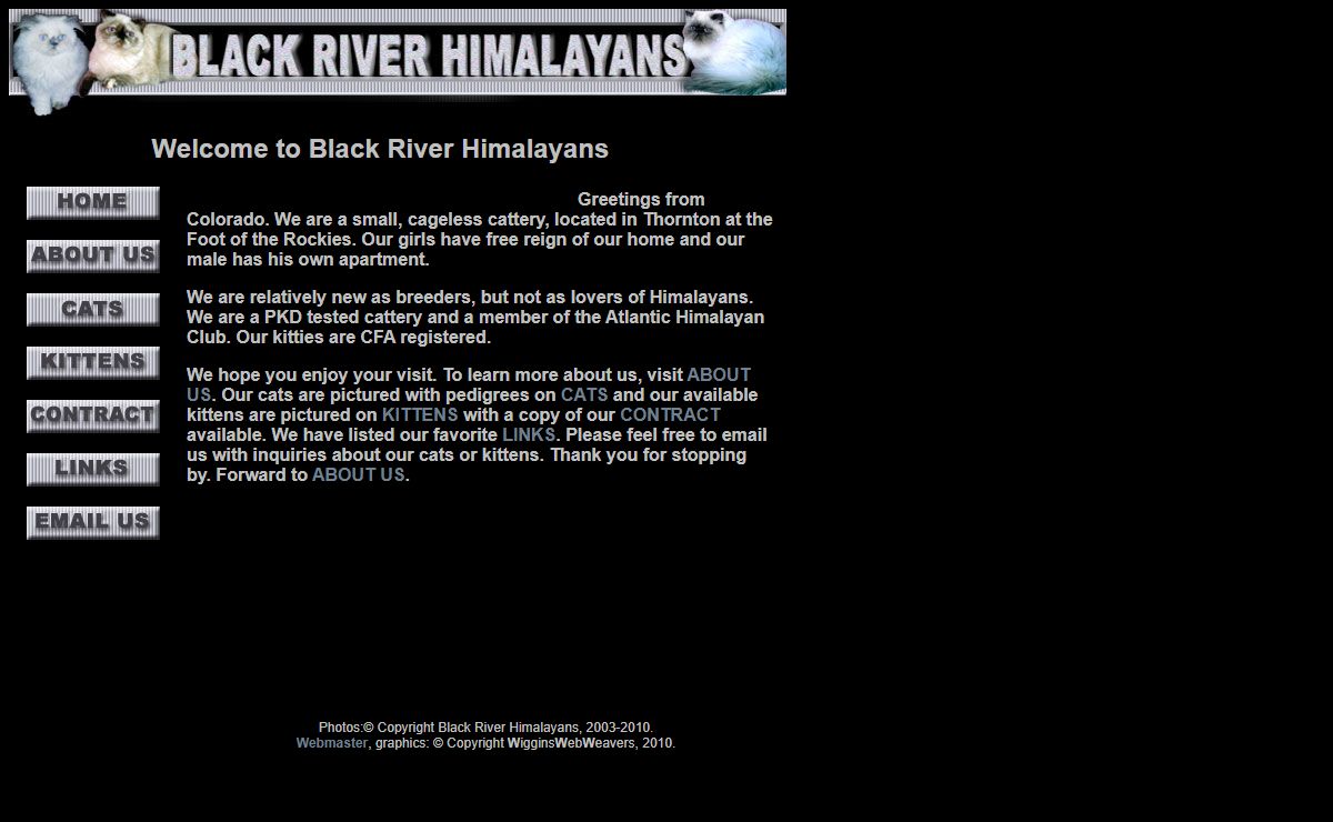 Welcome to Black River Himalayans