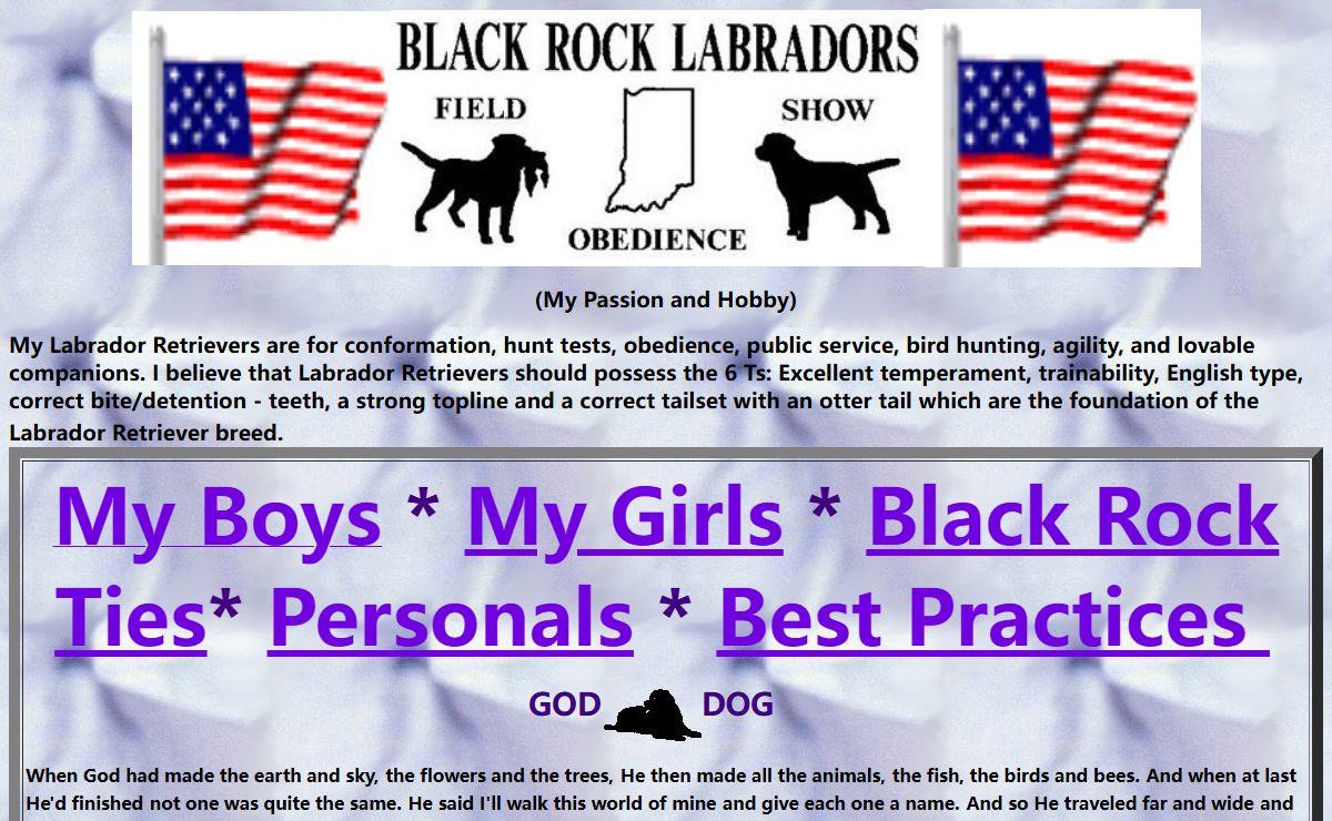 Black Rock Labradors, Indiana, USA