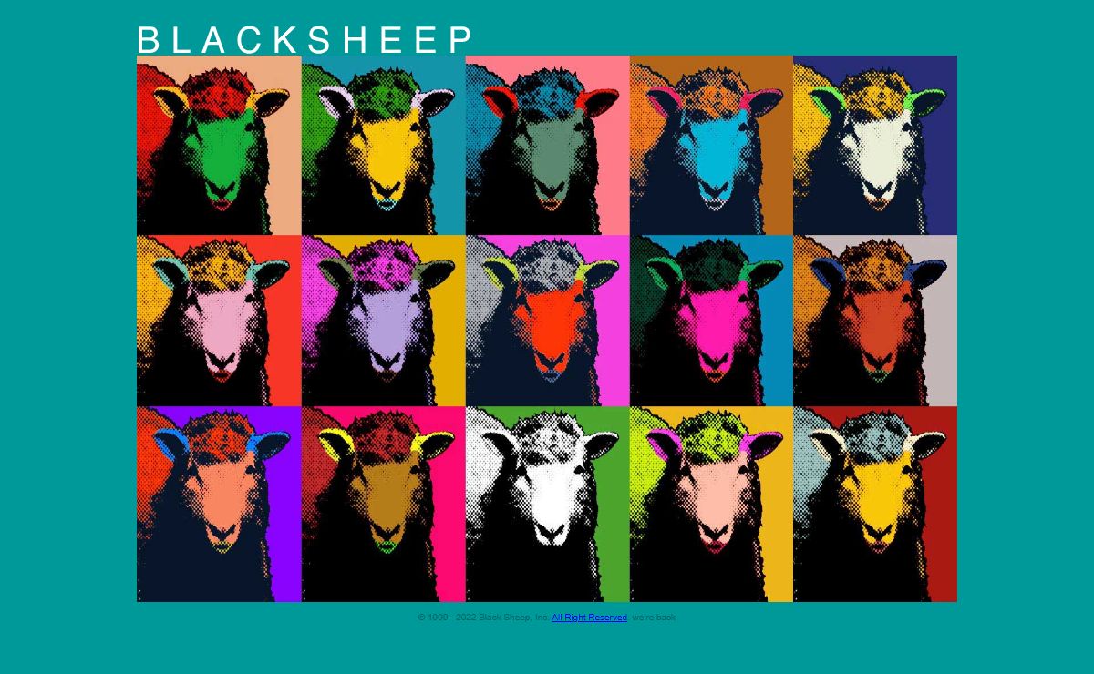 Black Sheep, Inc. - Media Content and Production for TV and Internet