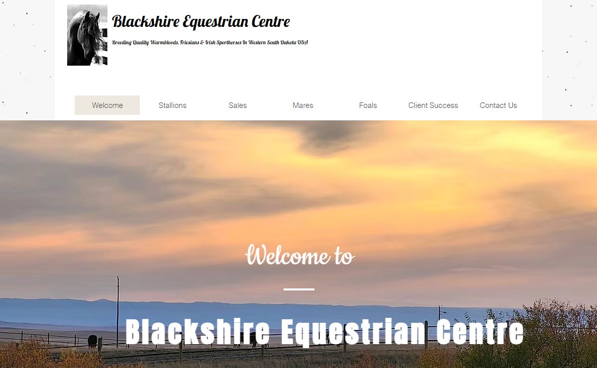 Friesians Warmbloods & Irish | Blackshire Equestrian Centre | United States