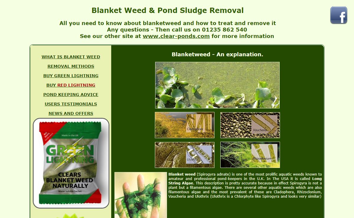 Blanket Weed Information and how to remove Blanket Weed