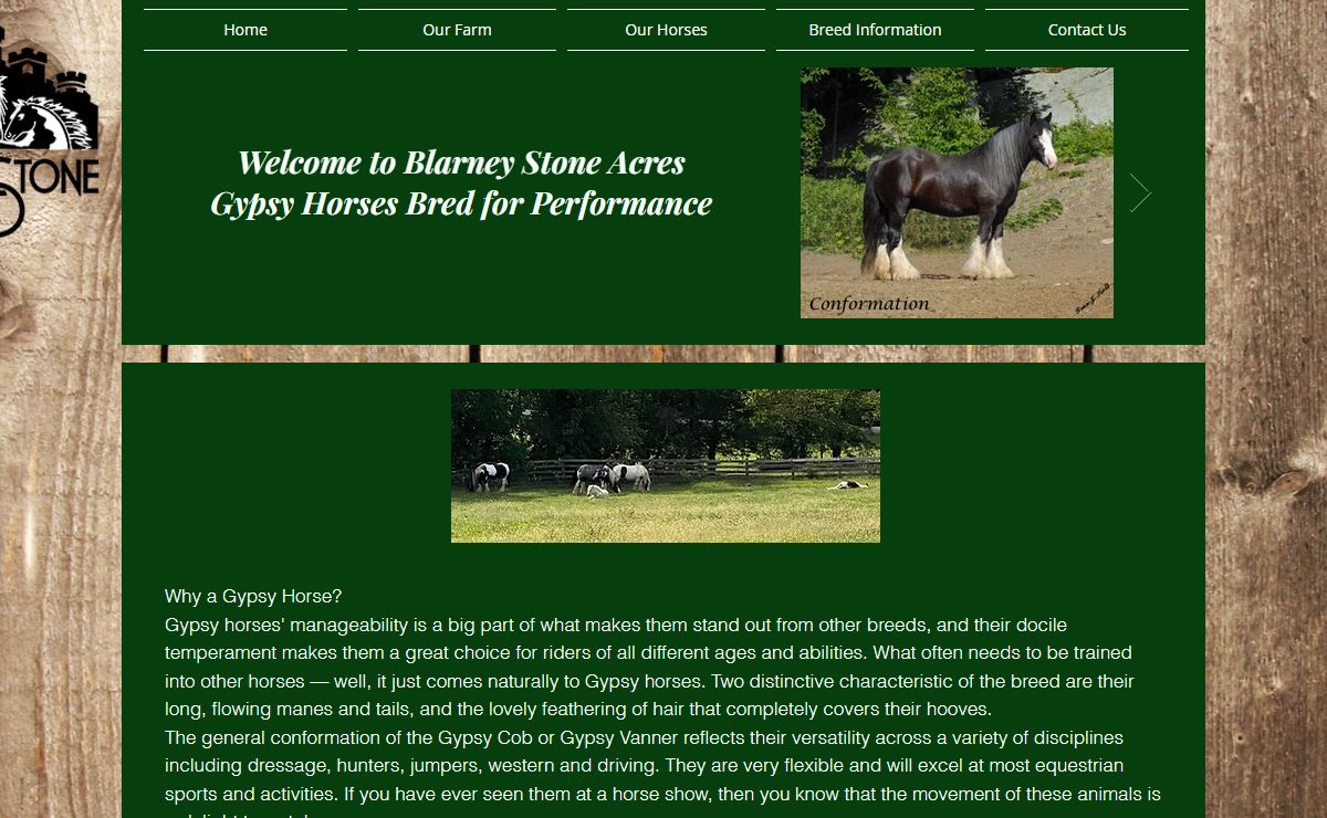 Blarney Stone Acres Gypsy Horses