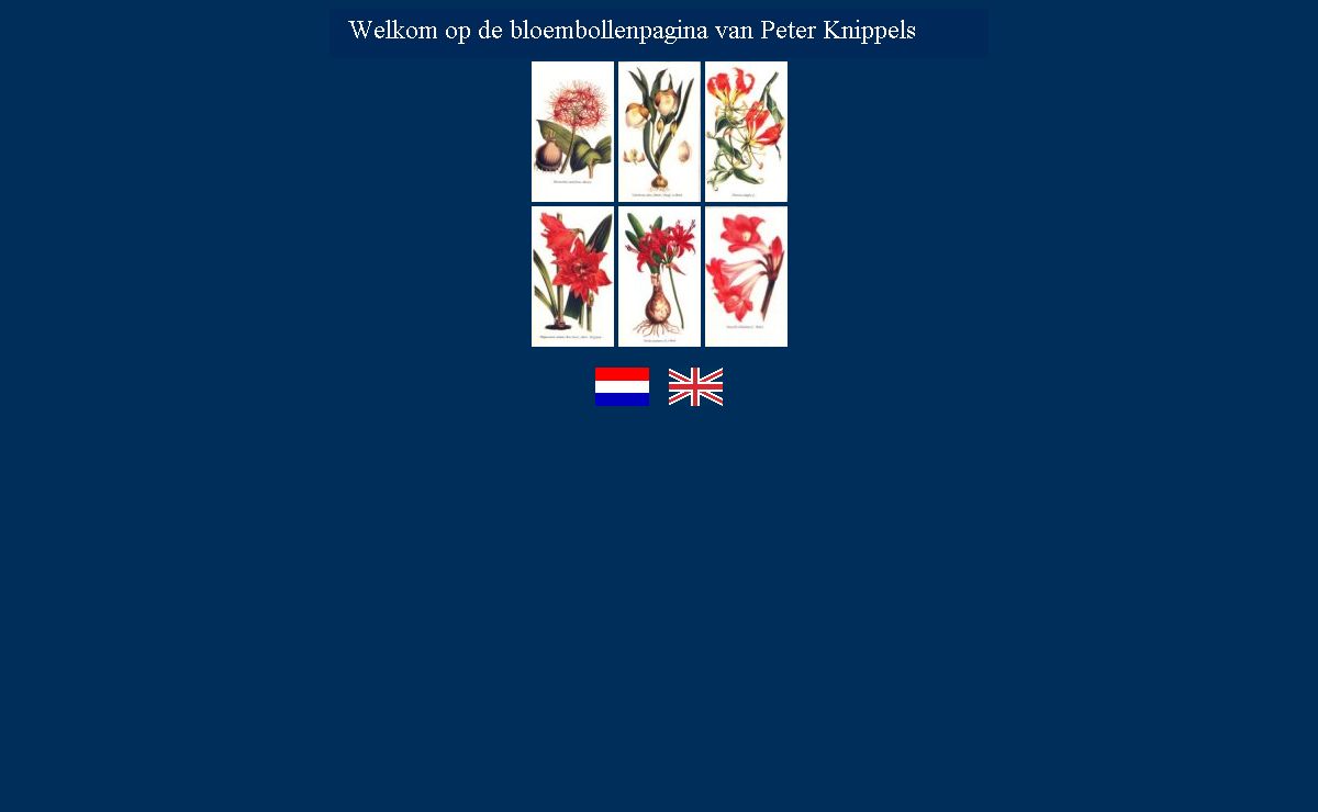 Flowerbulb site