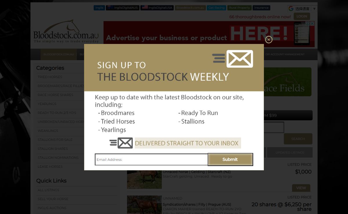Thoroughbred horses for sale, Stallion Profiles, Racehorse Shares on Bloodstock.com.au - Bloodstock.com.au