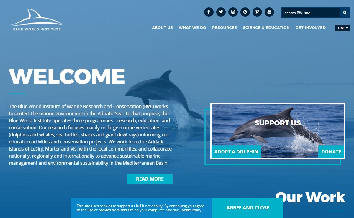 Blue World Institute of Marine Research and Conservation
