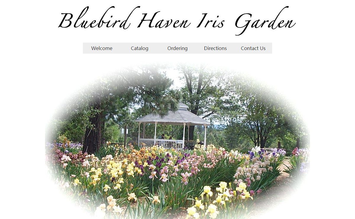 Bluebird Haven Iris Garden