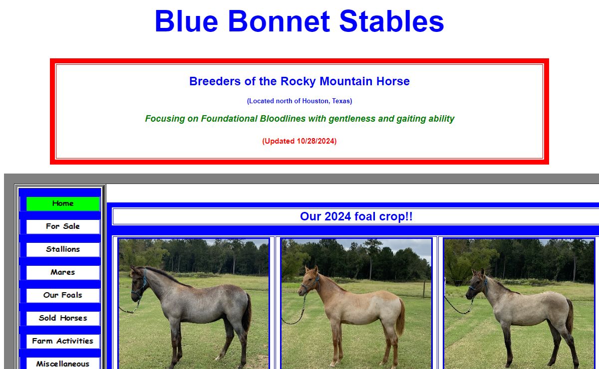 Blue Bonnet Stables