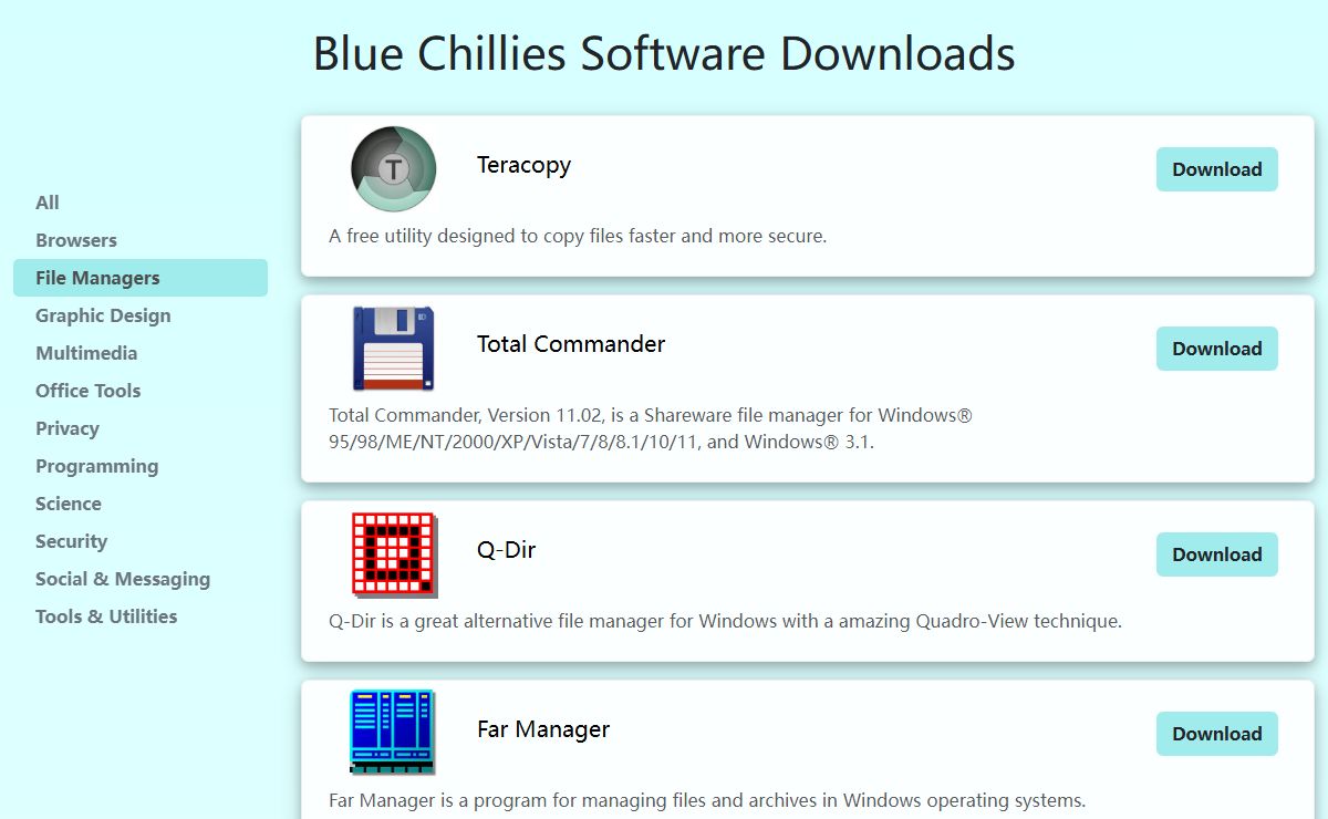 Blue Chillies Software