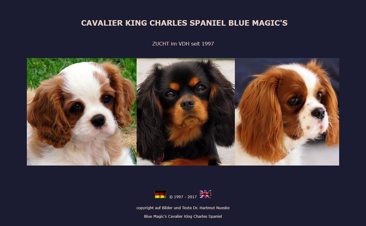Cavalier King Charles Spaniel und Welpen von Blue Magics