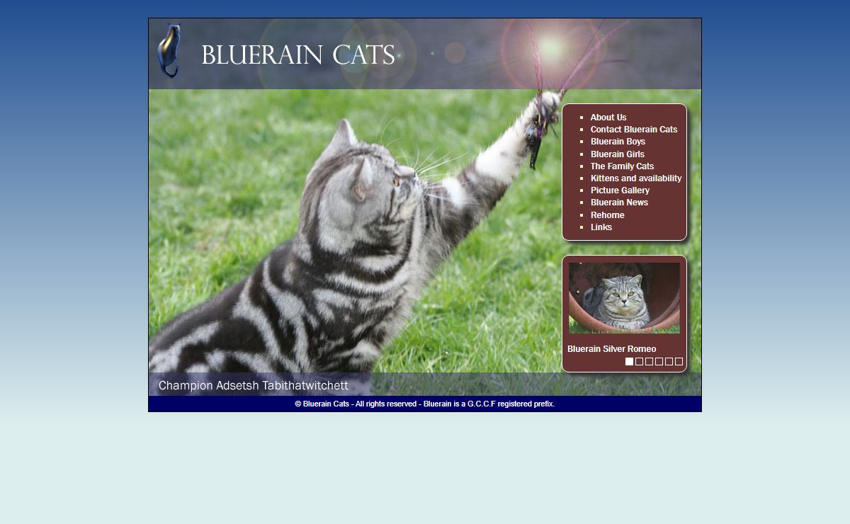 Bluerain Cats