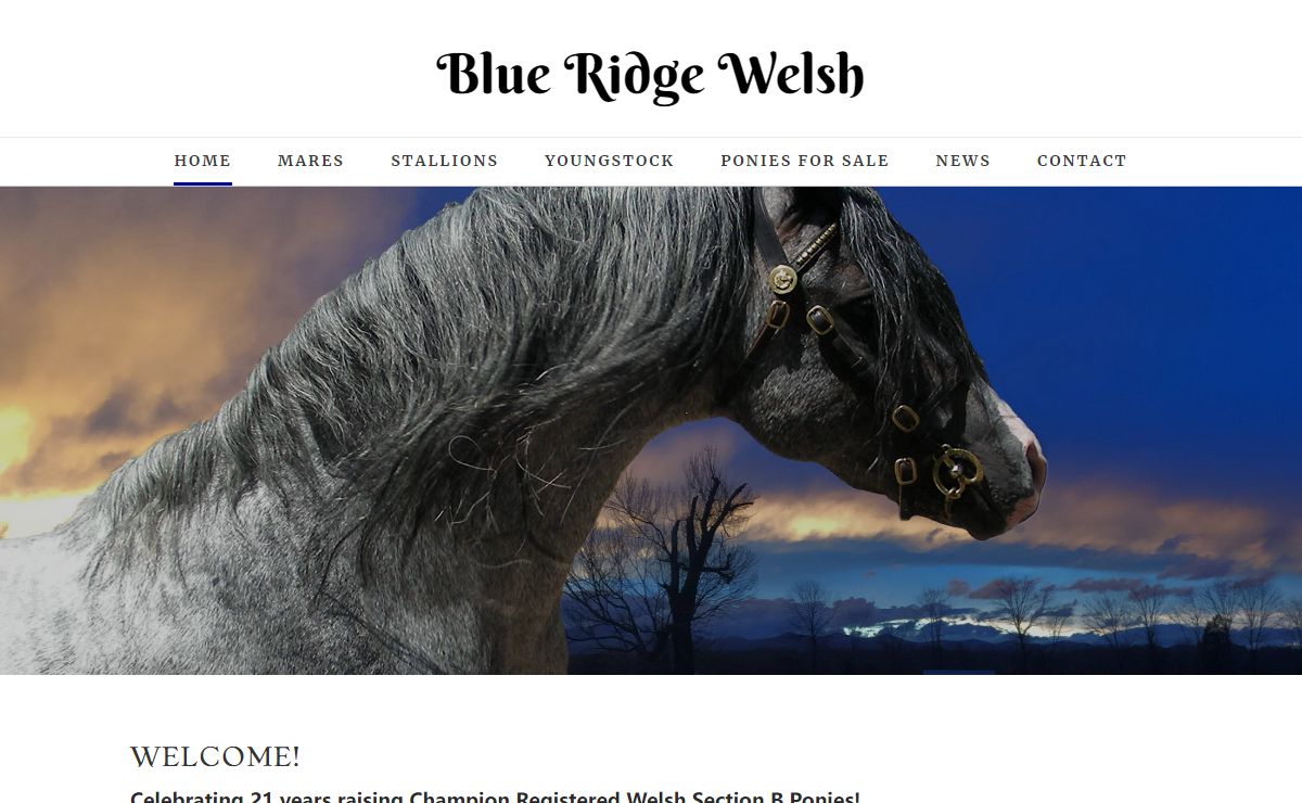 Blue Ridge Welsh - Home Page