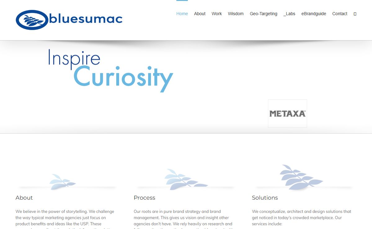 Bluesumac - Brand Equity Management