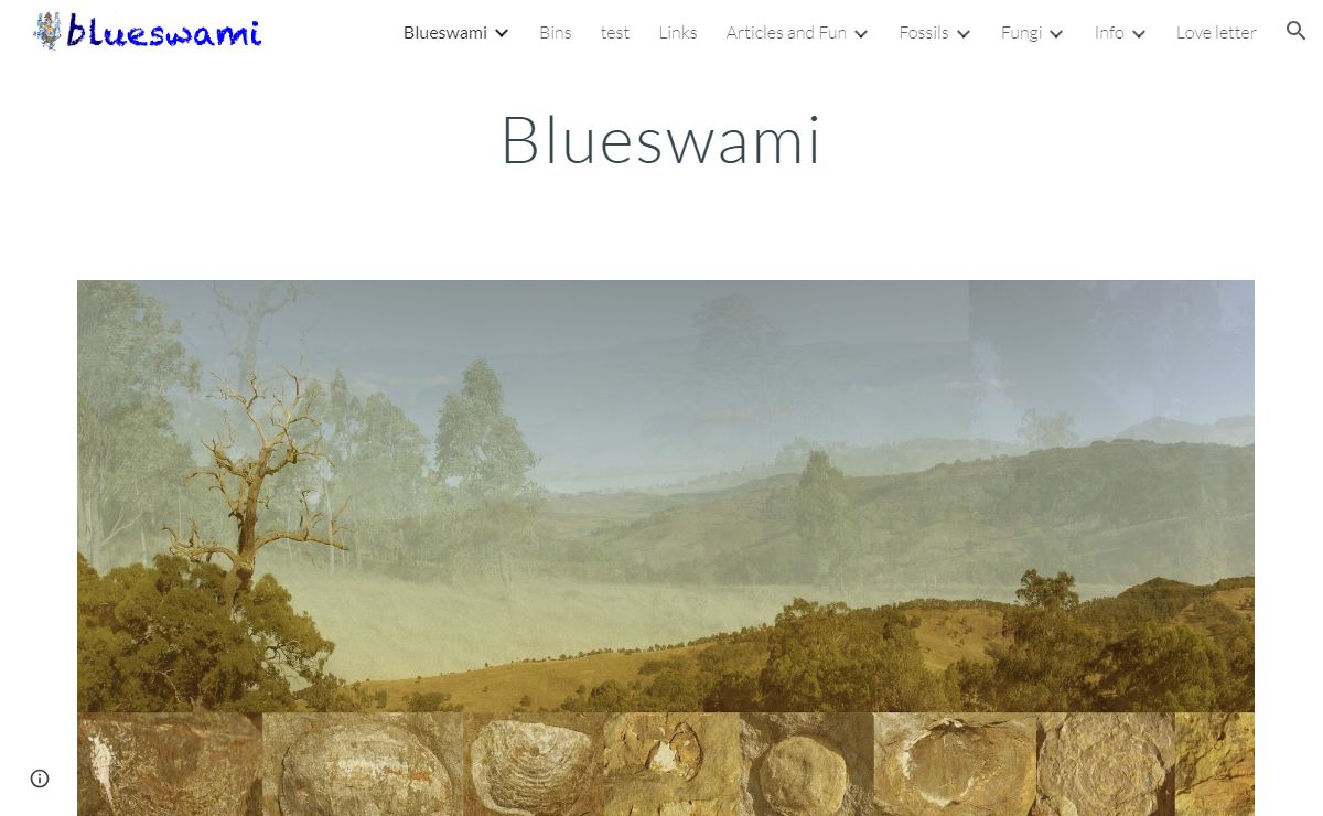 Blueswami