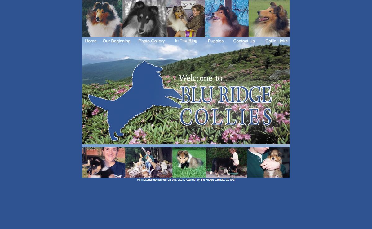 Blu Ridge Collies
