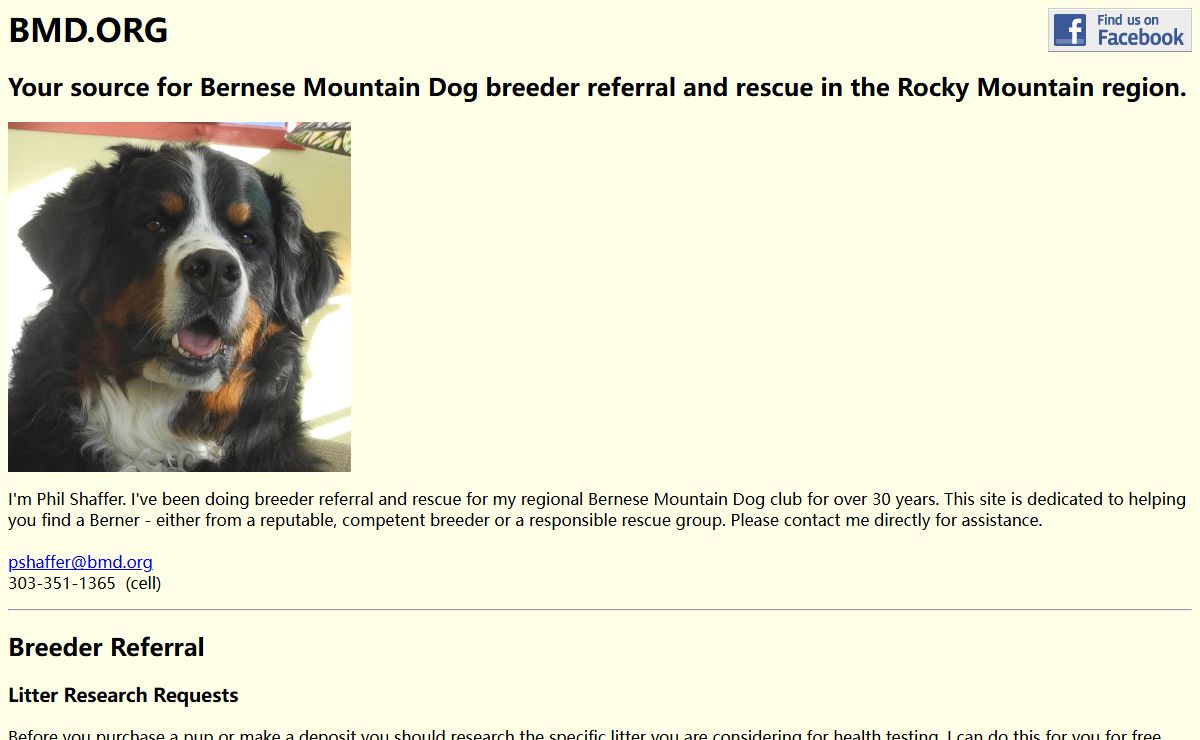 Bernese Mountain Dogs in the Rockies